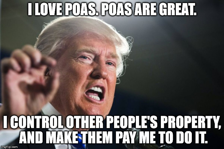 Liars and bullies love POAs.